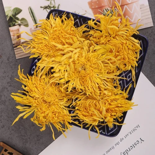 1 Golden Chrysanthemum 1 pack