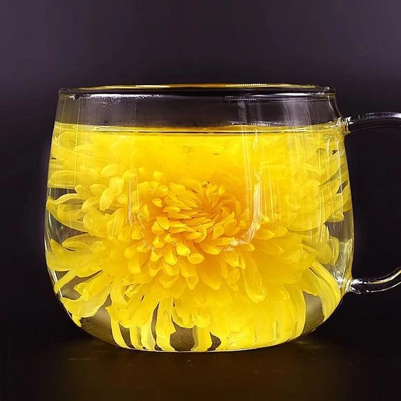 1 Golden Chrysanthemum 1 pack